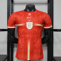 2026 Netherlands Special Edition Player Version Jersey