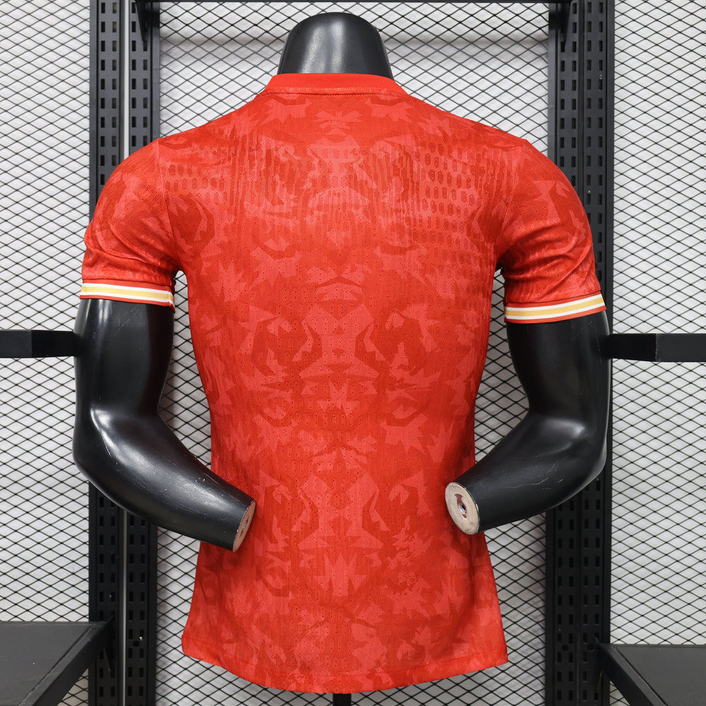2026 Netherlands Special Edition Player Version Jersey