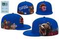 Chicago Cubs Hat