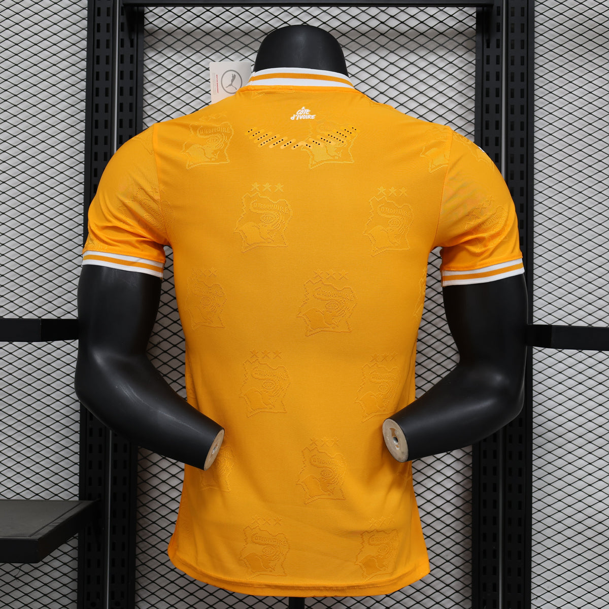 2026 Ivory Coast Orange Player Version Jersey