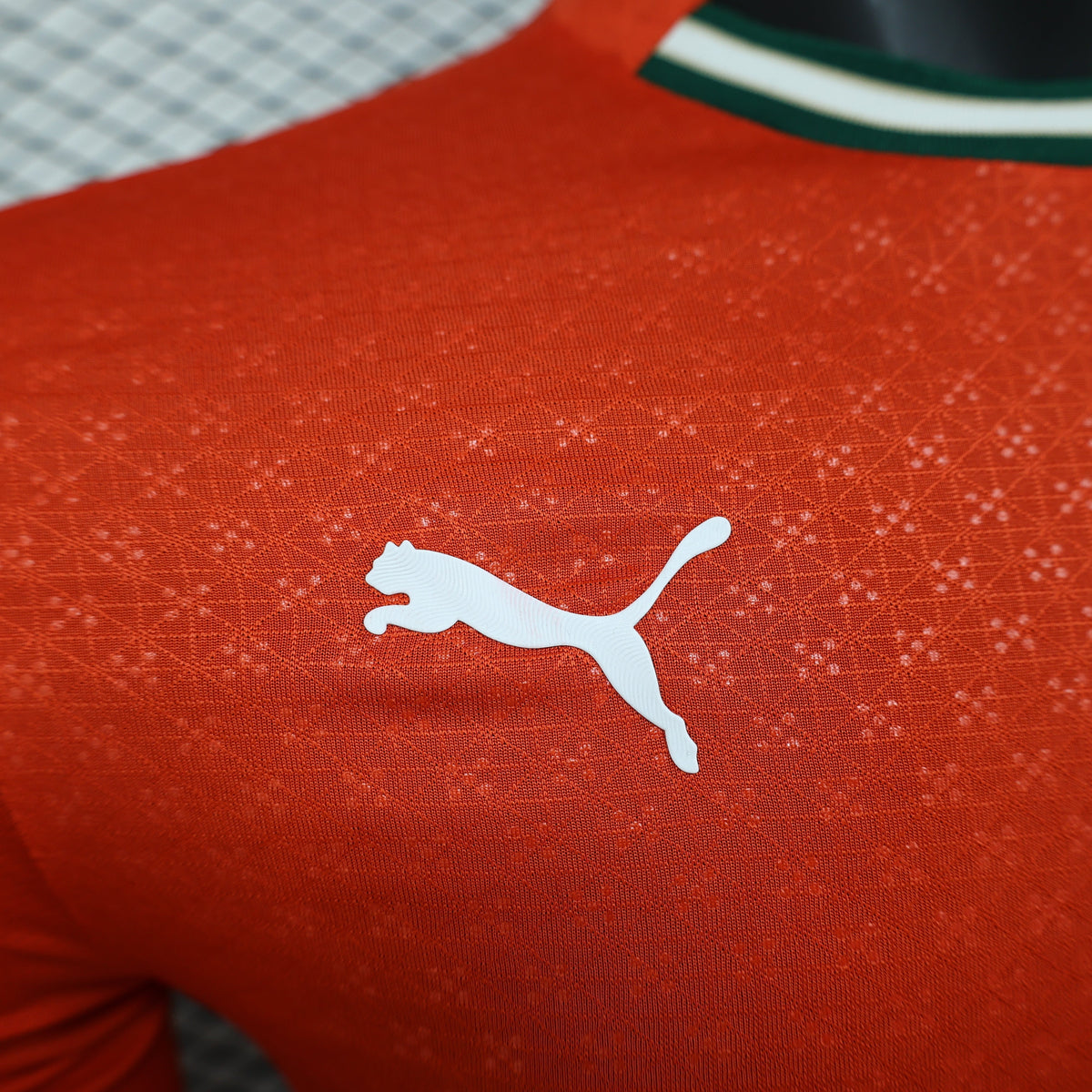 2026 Portugal Home Player Version Long-Sleeve Jersey