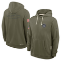 Men's Cleveland Browns  Forest Green 2025 Salute to Service Sideline Dri-FIT Lightweight Hooded Pullover