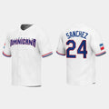 #24 GARY SANCHEZ DOMINICAN REPUBLIC BASEBALL 2023 WORLD BASEBALL CLASSIC REPLICA JERSEY C WHITE Stitches Baseball Jerseys