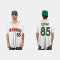 #85 LUIS CESSA MEXICO BASEBALL 2023 WORLD BASEBALL CLASSIC JERSEY C WHITE Stitches Baseball Jerseys