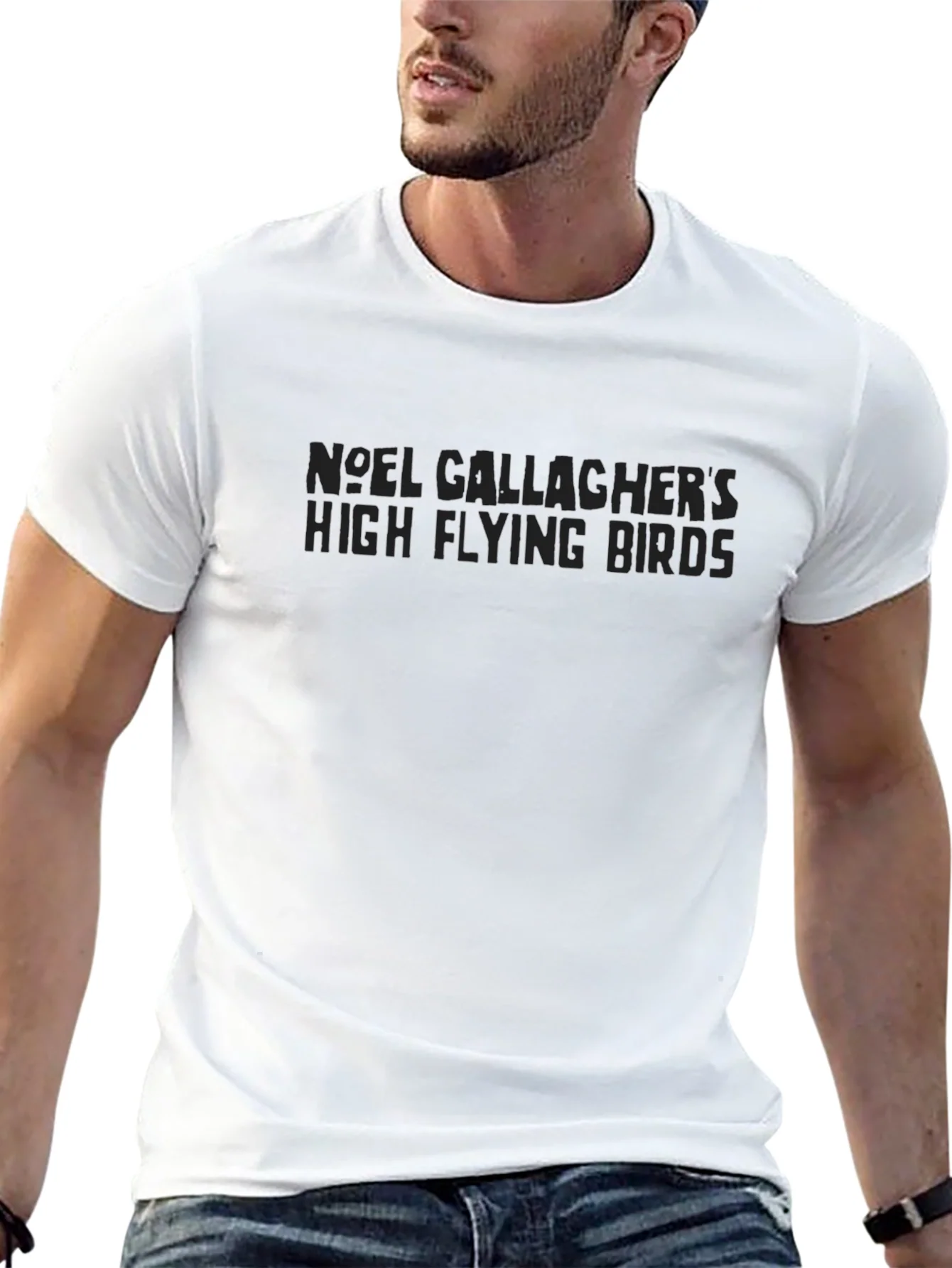Noel Gallaghers High Flying Birds Graphic T-Shirt