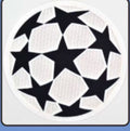 Champions league badge