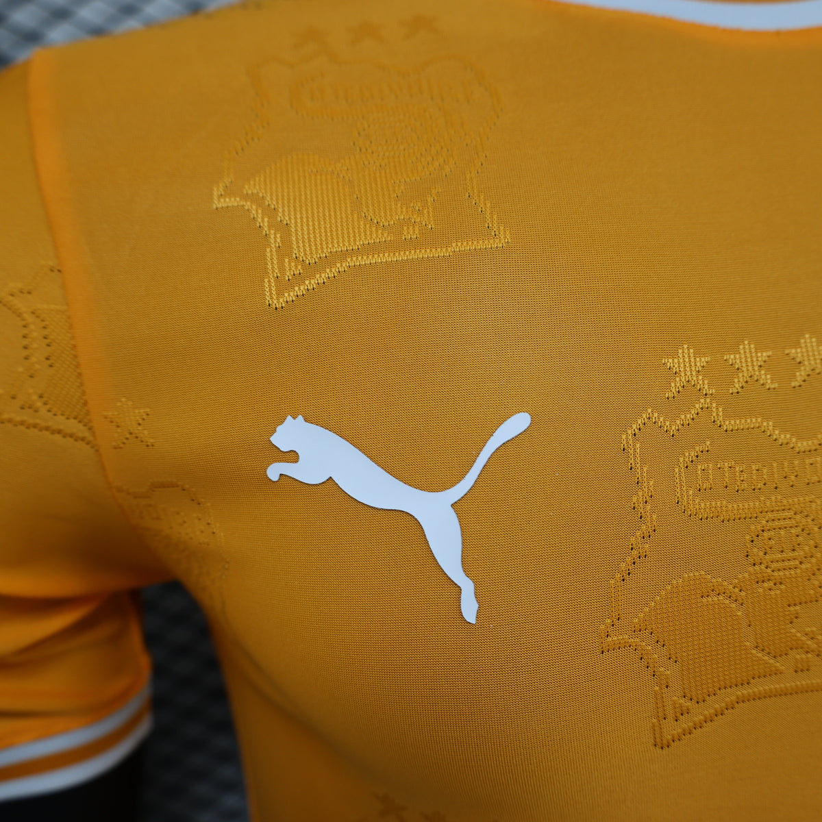 2026 Ivory Coast Orange Player Version Jersey