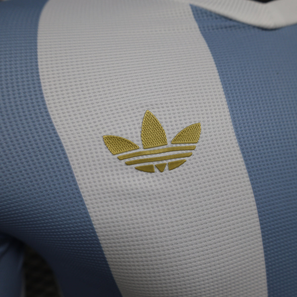 2026 Argentina Anniversary Edition Long-Sleeve Home Player Version Jersey