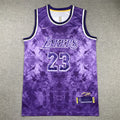 Lebron James LA Lakers Purple Jersey #23