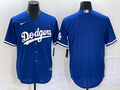 Men's Los Angeles Dodgers Royal Replica Blank Jersey1