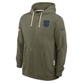 Men's Carolina Panthers  Olive 2025 Salute to Service Sideline Standard Issue Dri-FIT Hoodie